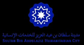 Logo 31